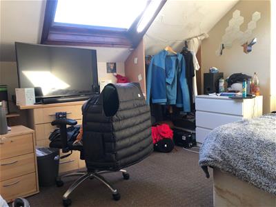 Picture 19